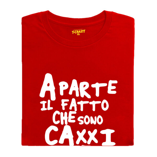 T-shirt T-Crazy "A PARTE IL FATTO CHE SONO CAXXI MIEI" - immagine 2